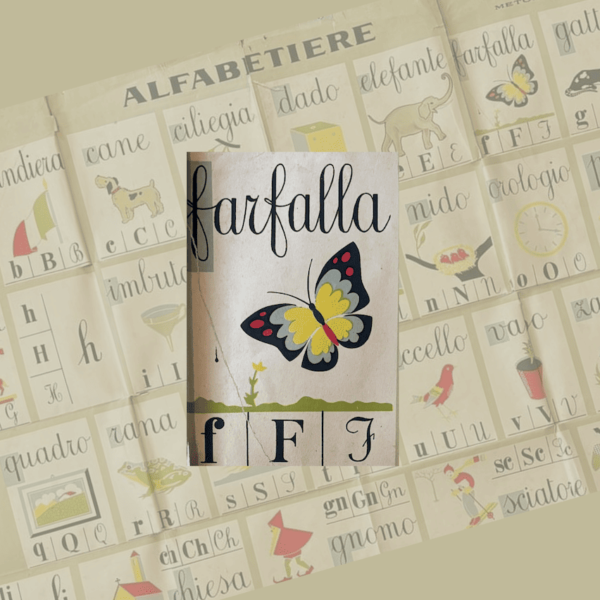 Inspo for the name of the shop Farfalla